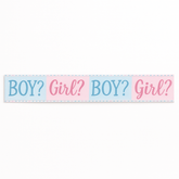 Pink or Blue? Gender Reveal Banner